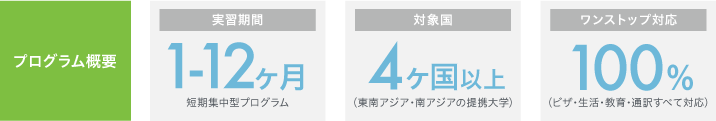 プログラム概要